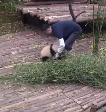 中国十大最火的外国网红,抖音百万网红姐弟抱大腿