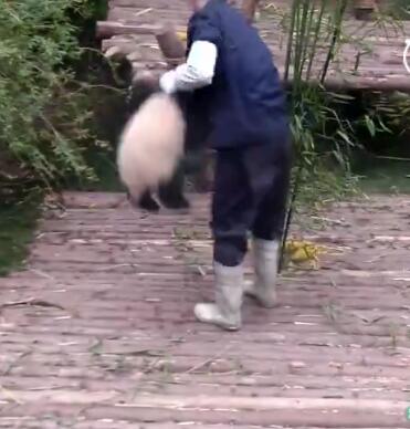 中国十大最火的外国网红,抖音百万网红姐弟抱大腿