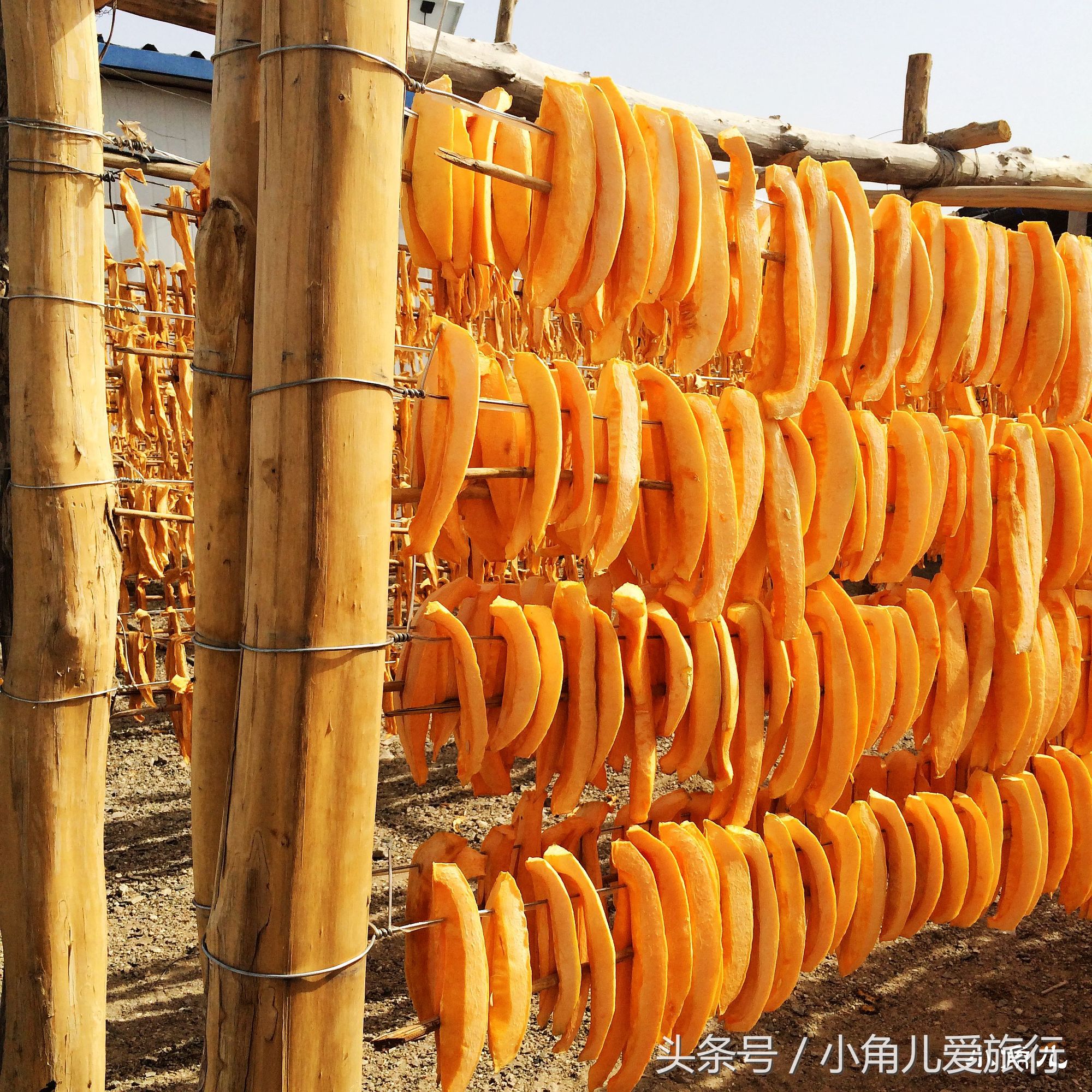 2015，七月的行迹——自驾青甘宁（九）甘肃，敦煌