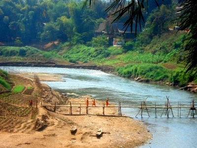 老挝街边的野生蜂蜜,老挝原始森林中纯天然野生蜂蜜