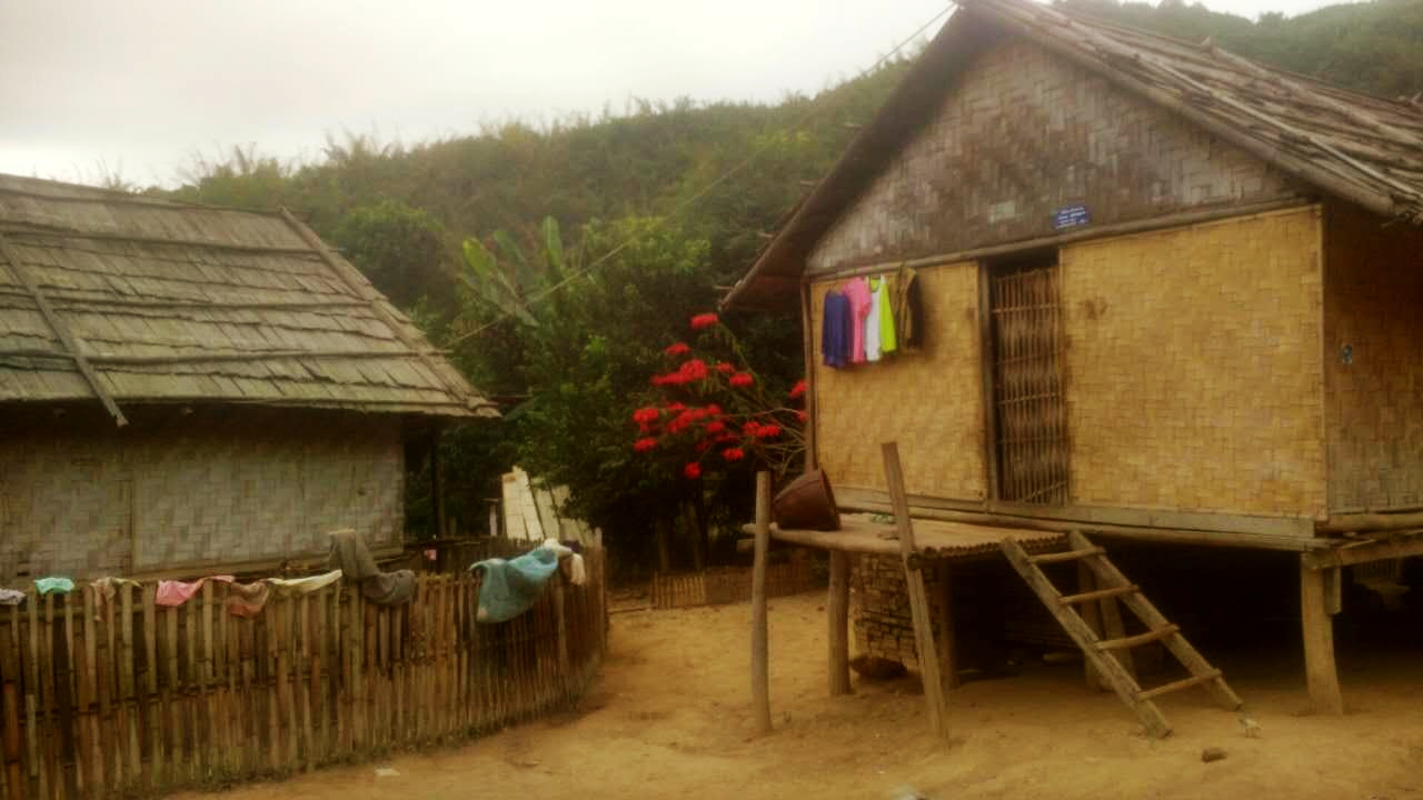 老挝街边的野生蜂蜜,老挝原始森林中纯天然野生蜂蜜