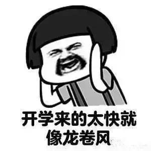 小班老师对孩子变化和成长的感悟,老师感慨学生一年的变化