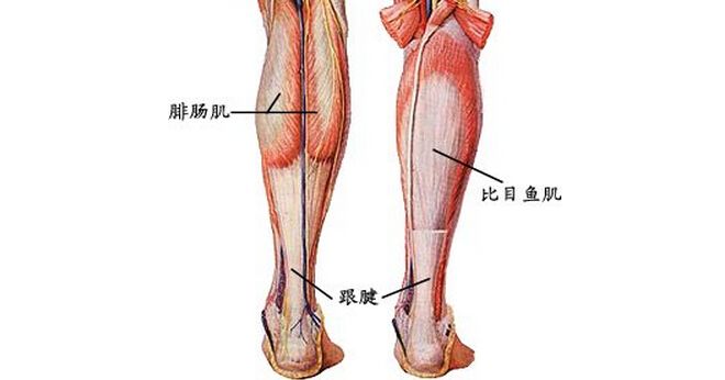 脚后跟疼的各种锻炼方法,脚后跟疼怎么做按摩