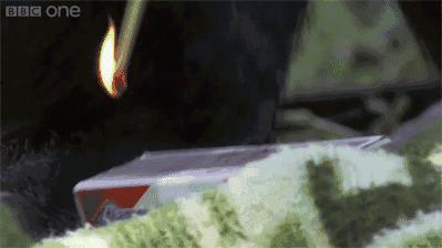 妹子你知道吗？衣服破了个口子，快点回去补补吧！