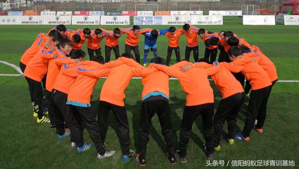 信阳市中考体育训练营,信阳市浉河区蚂蚁足球俱乐部