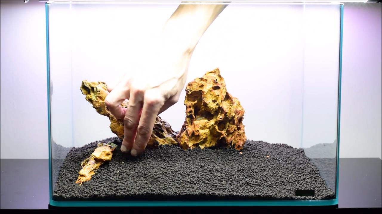 水草造景艺术从入门到精通pdf,初学水草造景教程