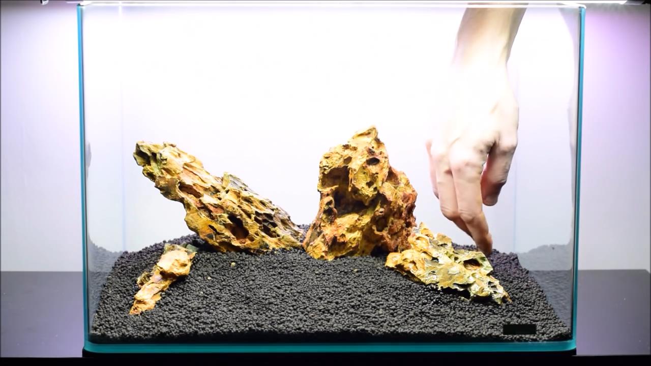 水草造景艺术从入门到精通pdf,初学水草造景教程