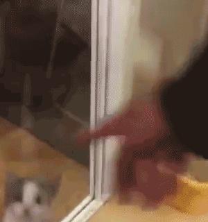 在家如何拔牙最快而且不疼的方法,最快又不痛的在家拔牙方法儿童