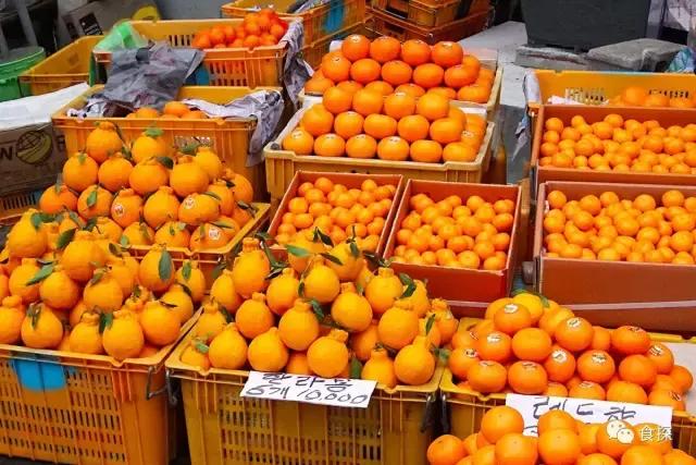 济州岛可以看海也可以吃,济州岛五天四夜逛吃之旅