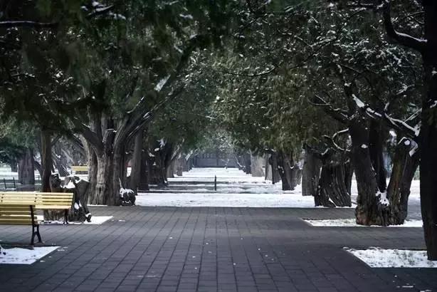 腾龙70-200mmf2.8效果,腾龙sp70-200mmf2.8g2