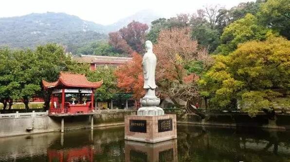 机票大跳水的城市,机票大跳水能不能要求退差价