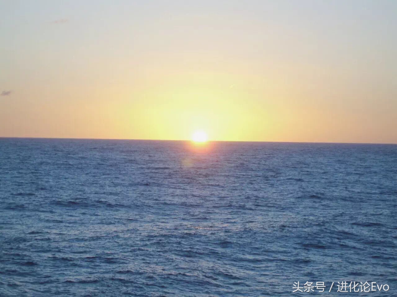 考研该不该出国留学,高考该不该出国留学