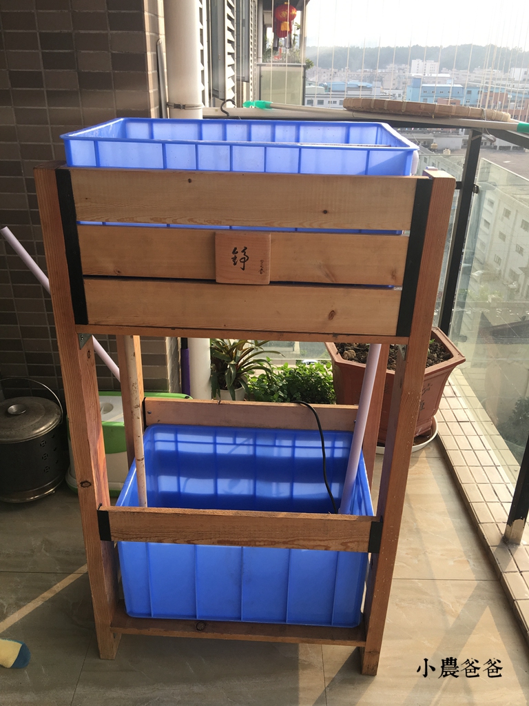 专业鱼菜共生系统设计,自制鱼菜共生系统设计