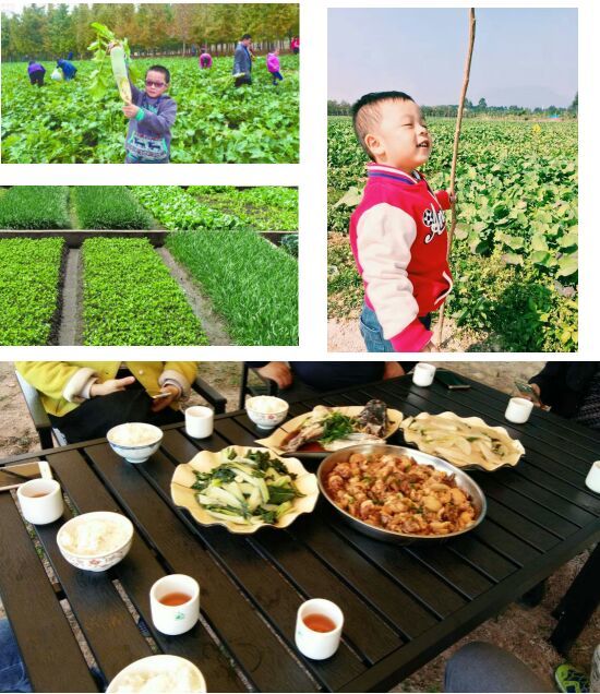 田野音乐会空降清逸园，花海与音乐，约不约？