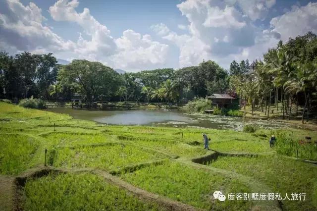 清迈四季酒店值得去吗,清迈四季酒店在哪里