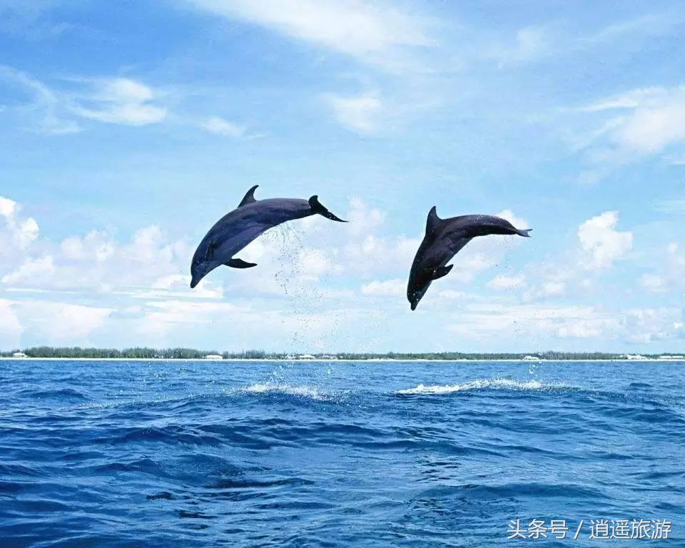 陵水现在热不热,万宁和陵水哪个好玩