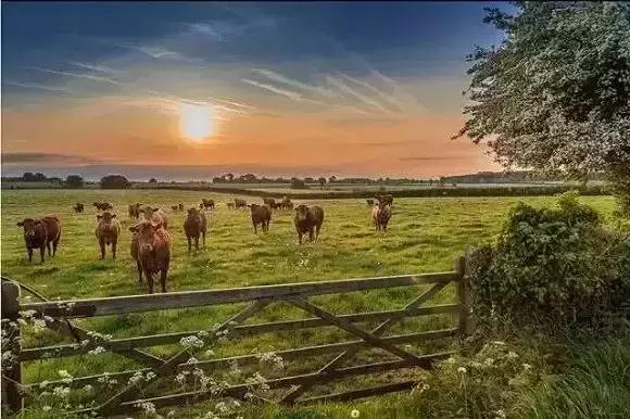 待位64年的王子,花30年将450万㎡荒地打造成世界最美庄园