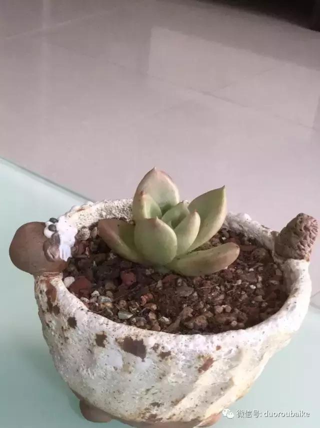 当大妈遇见帅哥,当大妈爱上邻家男孩