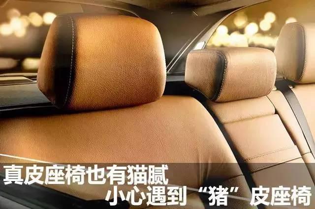 2000左右的座椅,2000多的真皮座椅是什么皮