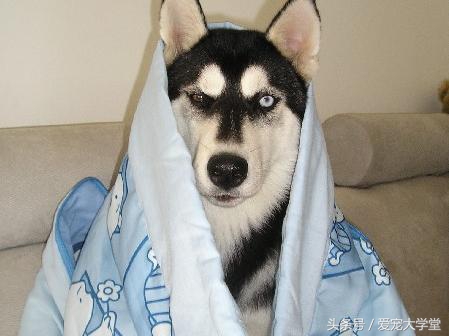 只要有耐心有毅力,只要有耐心很容易成功