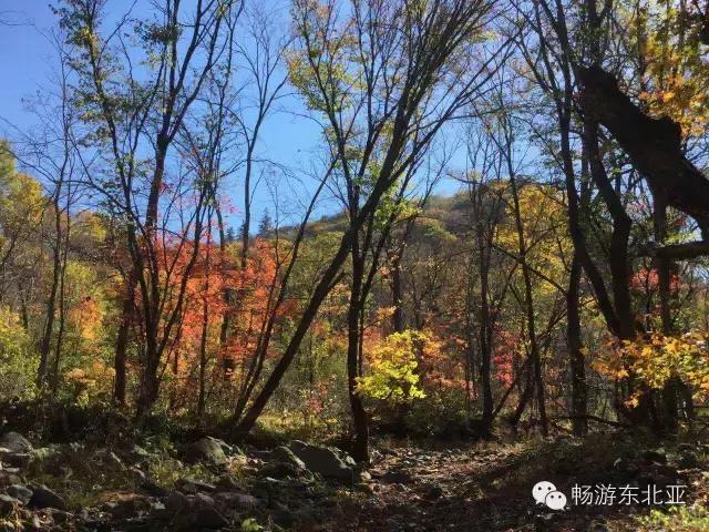 吉林省抚松县氡泉民宿,吉林省民宿旅游景点推荐