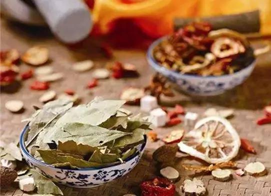 刘虎岐：想种植中草药来赚钱？这些知识点你得先了解！