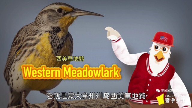 《寰宇少年》｜蒙大拿州很厉害，出了名的闹鬼呀！