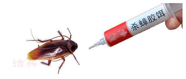 蟑螂药靠气味消灭蟑螂吗,怎么灭蟑螂药最好最有效