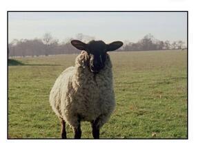 burberry2017春夏时装周,burberry时装周视频