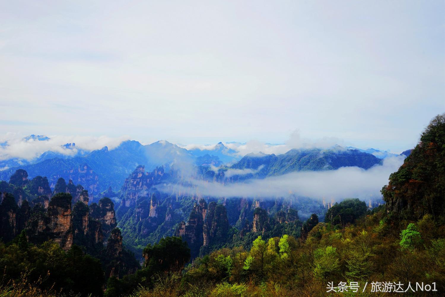 游记张家界8天旅游详细攻略,张家界天门山森林公园美景游记