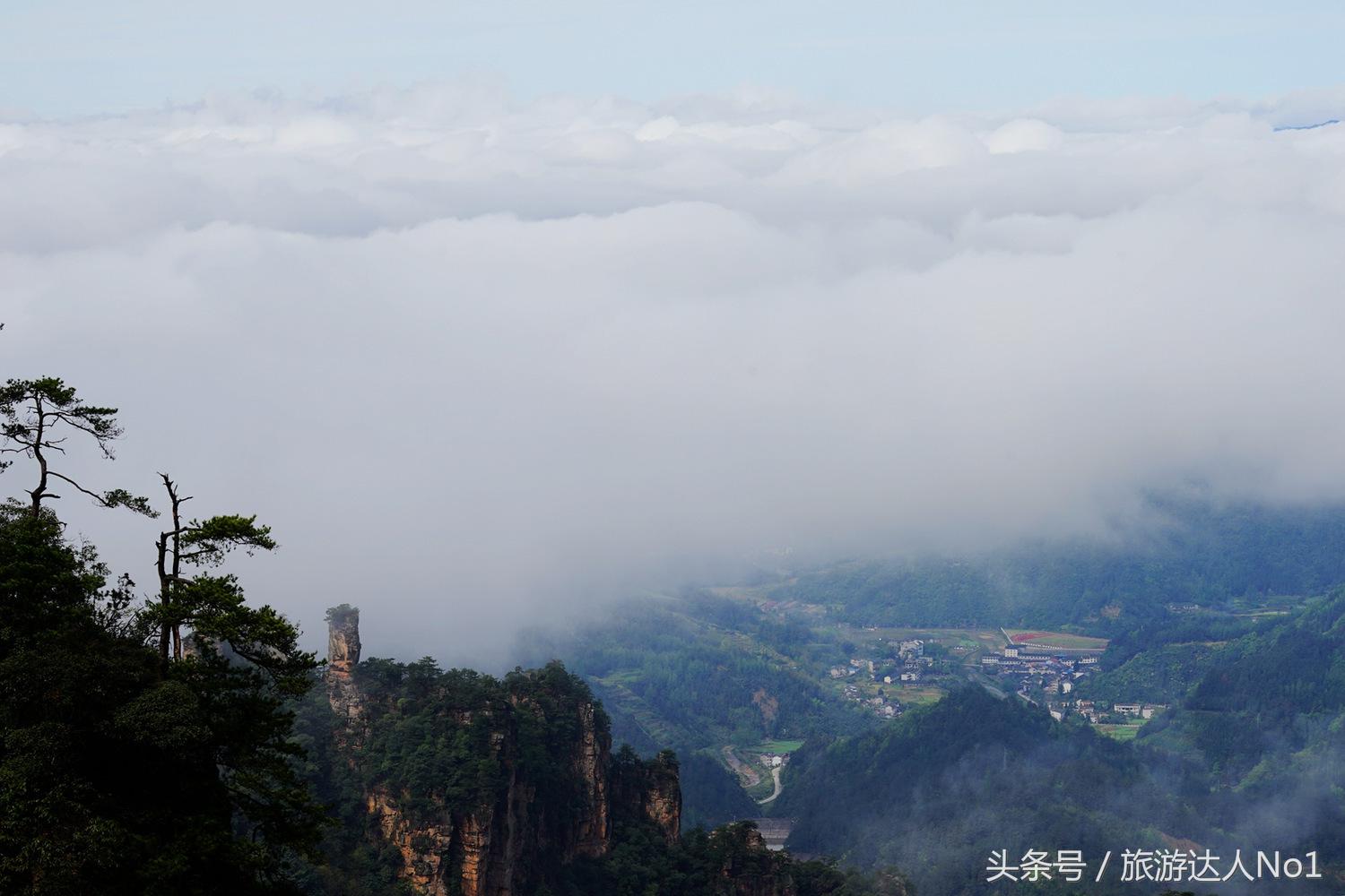 游记张家界8天旅游详细攻略,张家界天门山森林公园美景游记