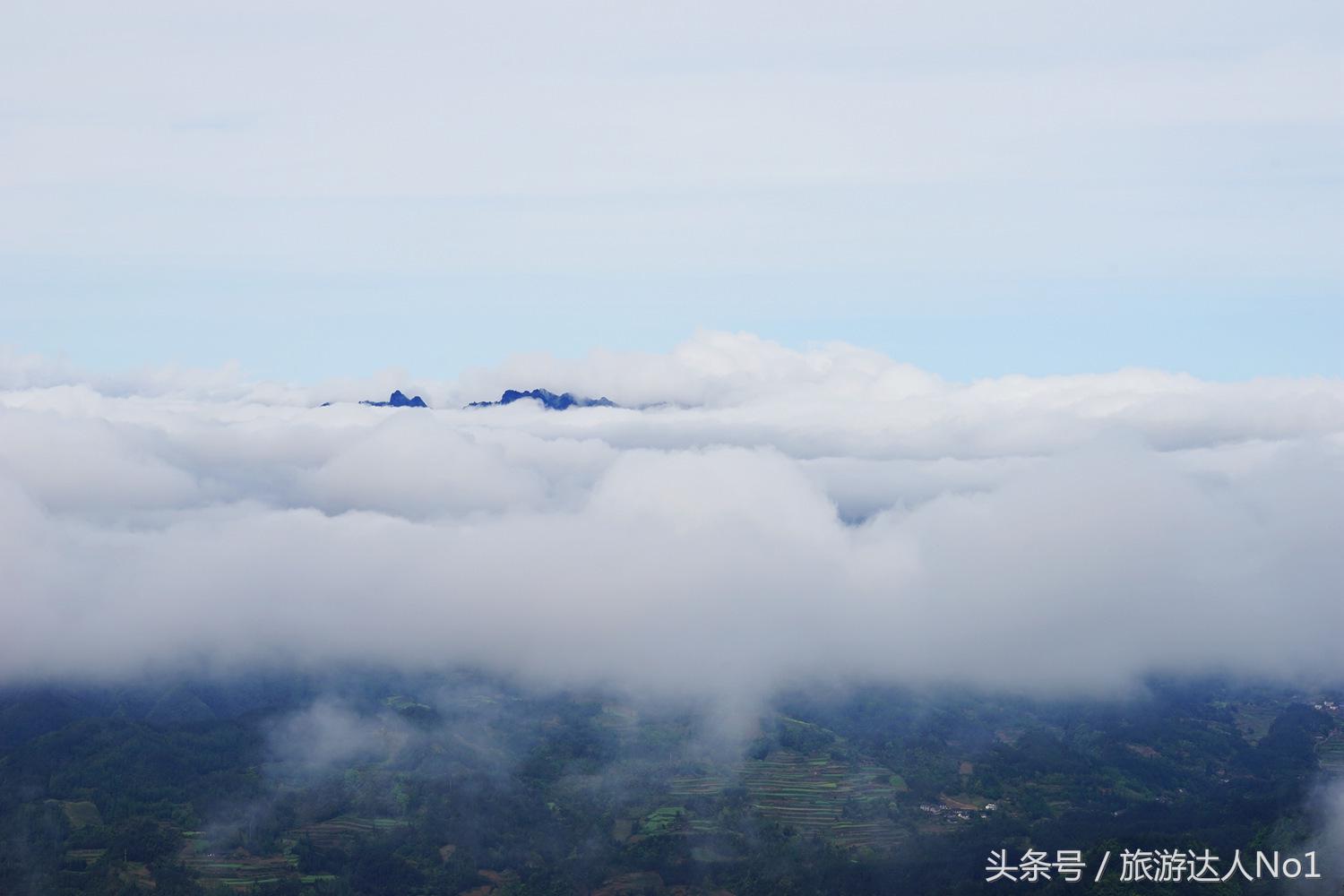 游记张家界8天旅游详细攻略,张家界天门山森林公园美景游记