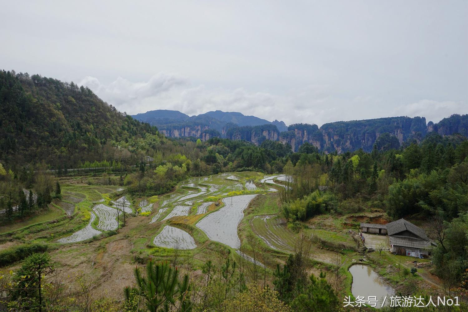 游记张家界8天旅游详细攻略,张家界天门山森林公园美景游记
