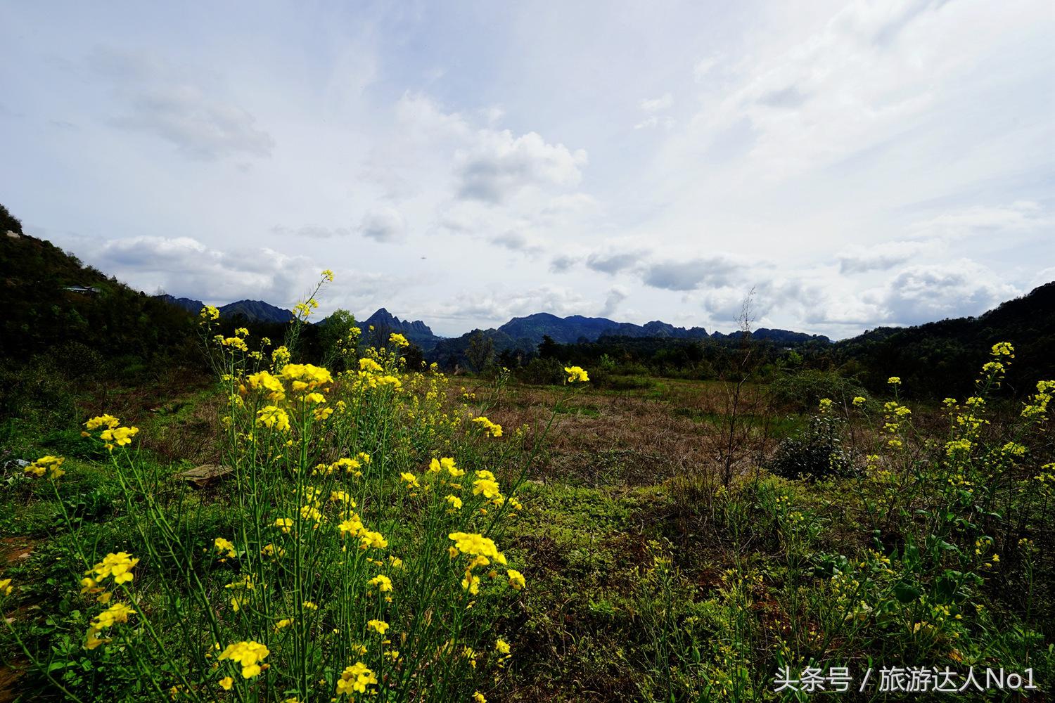游记张家界8天旅游详细攻略,张家界天门山森林公园美景游记