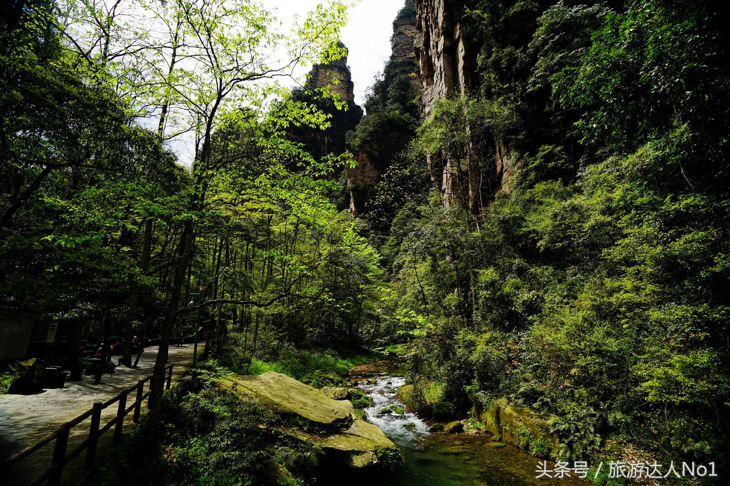 游记张家界8天旅游详细攻略,张家界天门山森林公园美景游记