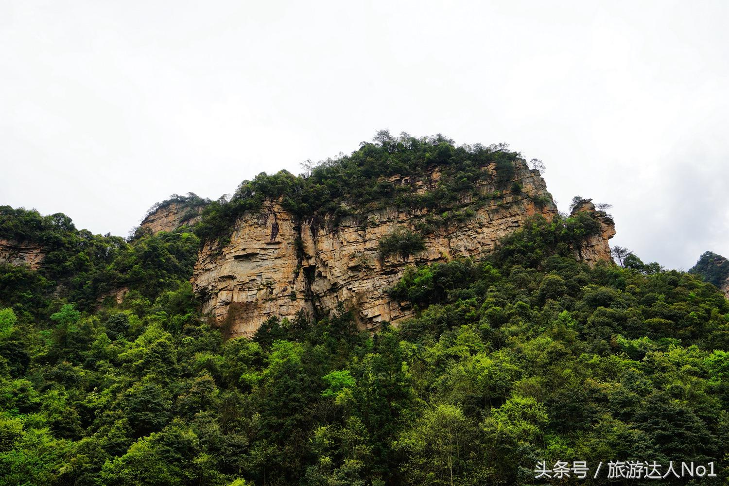 游记张家界8天旅游详细攻略,张家界天门山森林公园美景游记