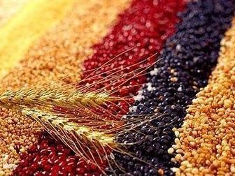 李时珍坚持尝百草的励志故事,尝遍百草的李时珍