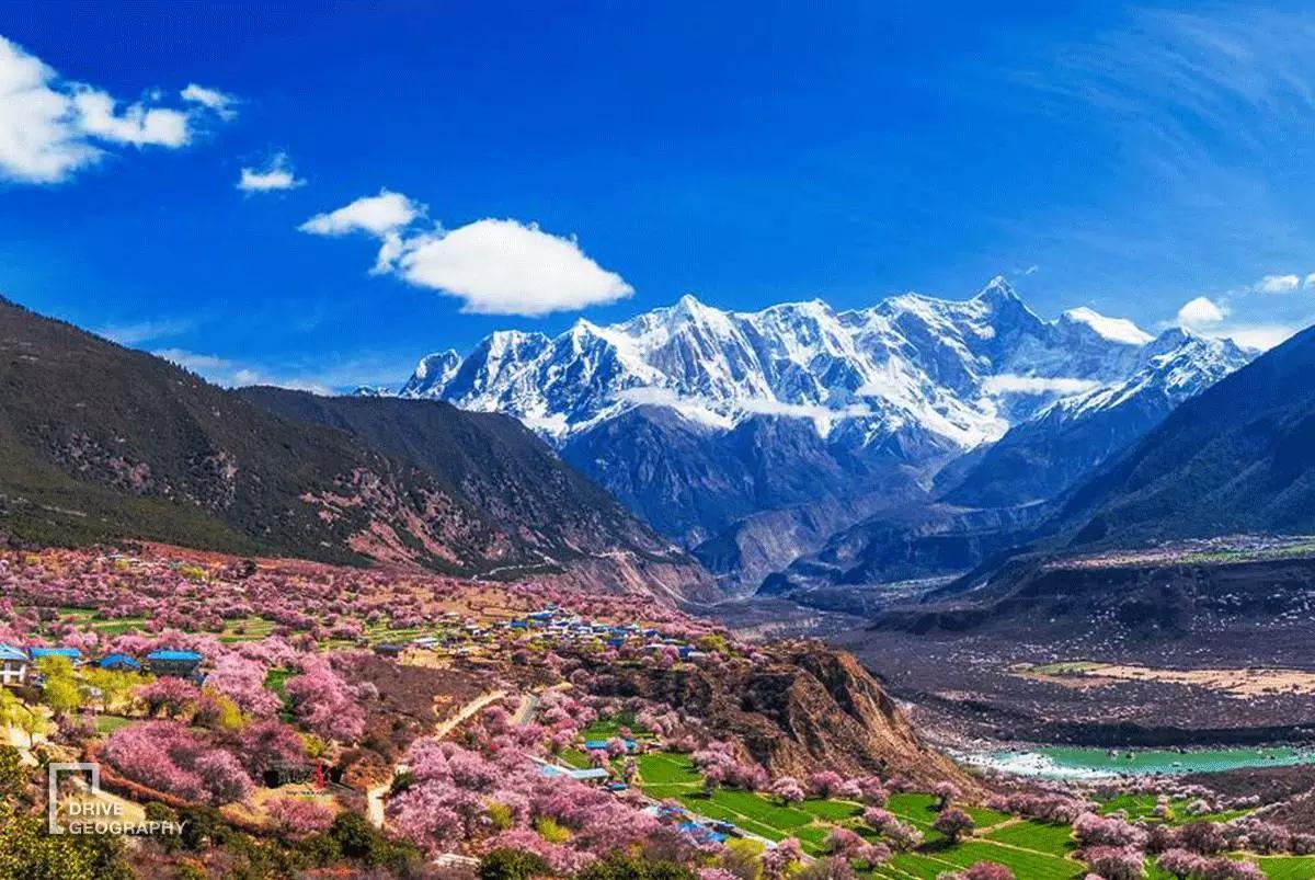 连联合国都赞不绝口的百里桃花,你真的不带她看一下吗?