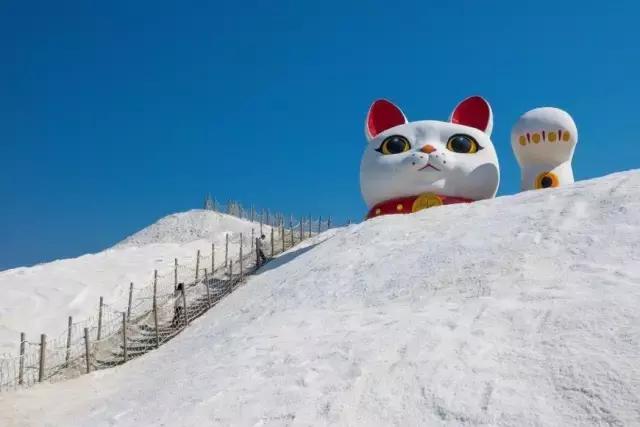 台南必吃的12道美食,台南美食哪里最好吃