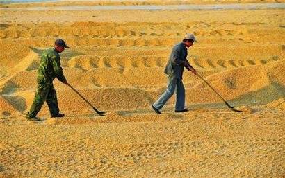 大连中储粮员工工资怎么算,唐山中储粮工资有多少