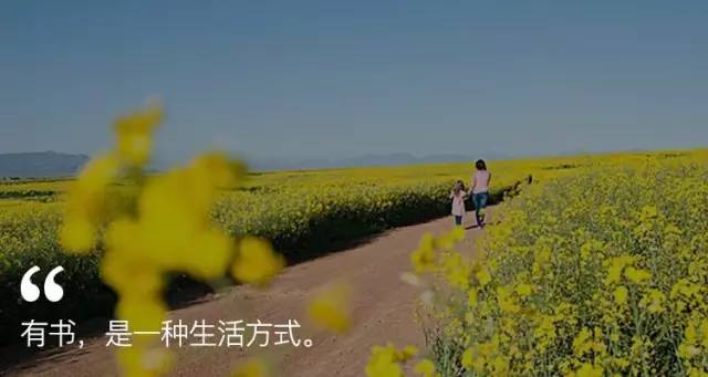 爱乐之城为何如此经典,爱乐之城愿时光倒流