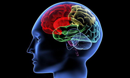 如何远离心脑血管疾病和三高,怎么正确预防三高心脑血管疾病