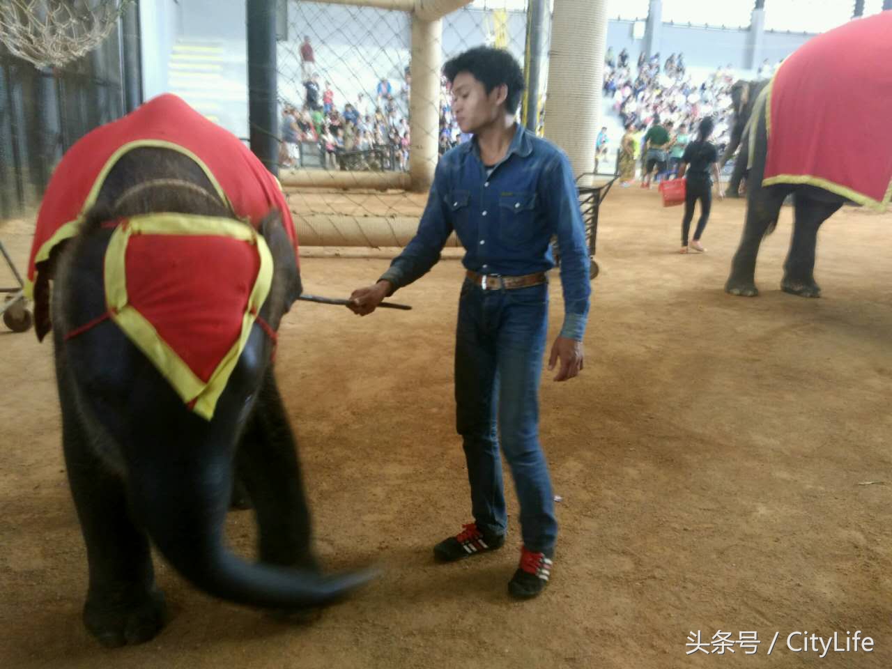 泰国芭堤雅东芭乐园,泰国芭提雅东芭公园