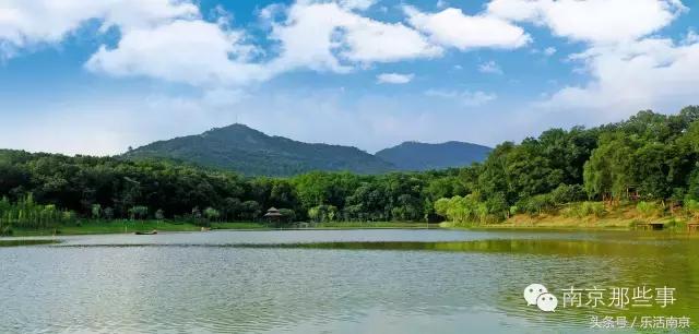 南京梅花赏花游记,好玩的摘草莓胜地打卡