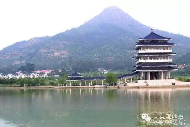 南京梅花赏花游记,好玩的摘草莓胜地打卡