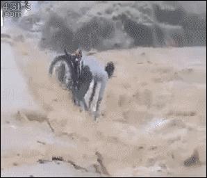 赔?不赔?看完秒变老司机