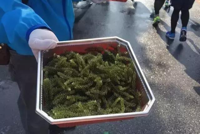 你们以往跑的都是假的马拉松！｜鹿透社0220