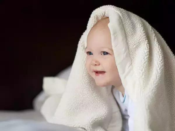 奶粉荷兰原装的有哪些,奶粉荷兰进口的怎么样