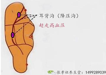 农村既能吃，又能活血通经的宝贝，你认识吗？