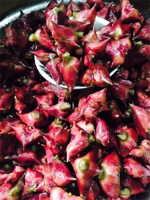 西塘景区有什么好吃的,浙江西塘附近有啥好吃的